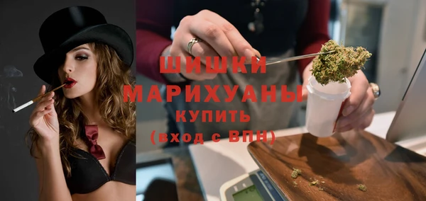 прущие грибы Верея