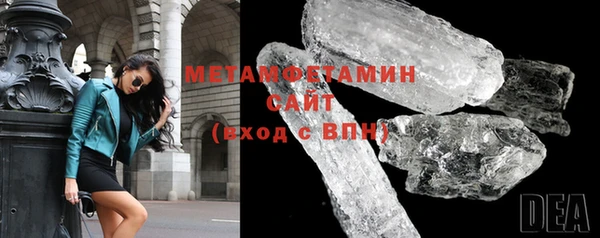 прущие грибы Верея