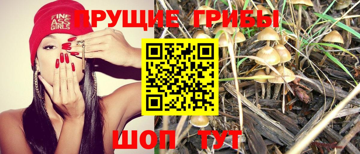 Псилоцибиновые грибы Psilocybine cubensis  Вход с VPN  как найти закладки  Прокопьевск 